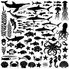 Black silhouette collection of diverse marine life including fish, sharks, octopuses, and seaweed on a white background, arranged in a dense pattern for aquatic-themed designs or illustrations.