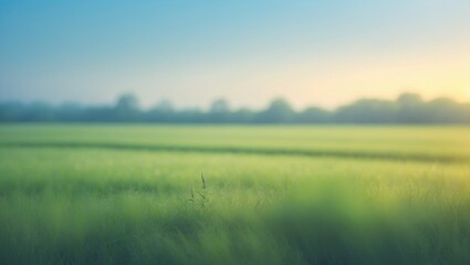 Fototapeta premium Gentle blurred background of a farmland with open sky