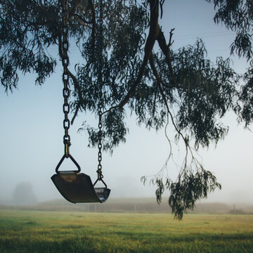 Chain and rubber swing hanging from a gum tree on a misty morning