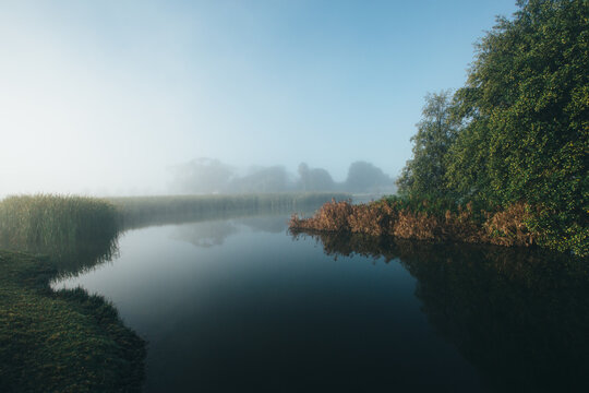 Fototapeta Misty morning beside a river with calm water, reeds and trees