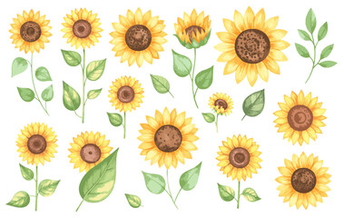 Sunflower01