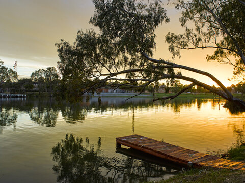 Sunset on river with gum tree and jetty in foreground