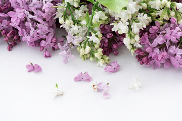 lilac branch with flowers on a white table