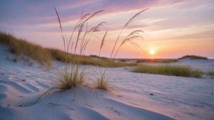 Dusk at the scenic Baltic Sea coast featuring dunes and beach scenery