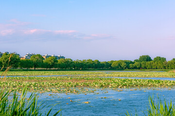 Skyline Landscape of North China Waterfront Cities