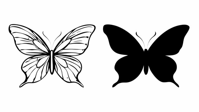 Illustration featuring two butterflies one outlined and one solid black silhouette on a white background editable vector eps/eps