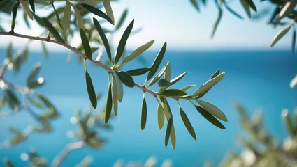 Fototapete Ligurien Backdrop showcasing olive tree branches  © NeuralNiche