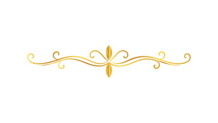 luxury graphic element 