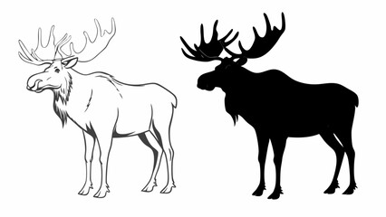 Illustration of two moose, one in outline and the other in silhouette, standing side by side on white editable vector eps/eps