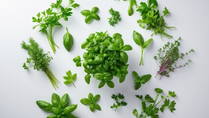Obraz premium Newly harvested herbs against a white backdrop