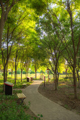 Skyline Landscape of North China Waterfront Cities