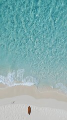 Obraz premium Aerial View of a Beach with Clear Turquoise Water and a Surfboard