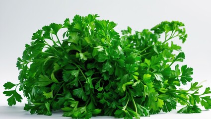 Obraz premium Bunch of green parsley