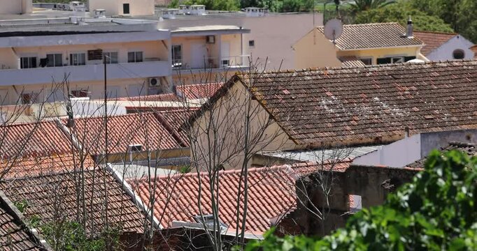 Silves, Algarve, Portugal, white storks inside the village.