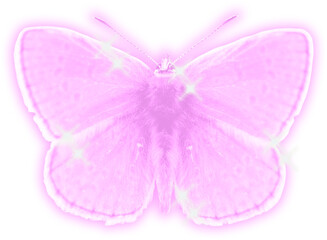 Retro y2k animal element