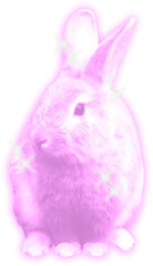 Retro y2k animal element