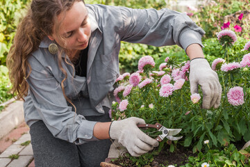 Young woman gardening in a lush vegetable garden and greenhouse. Harvesting tomatoes and carrots,...