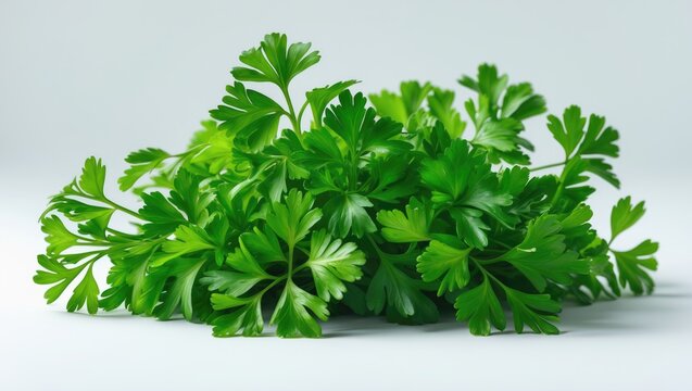 Fresh parsley against a white backdrop