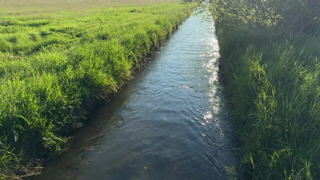 ruscello in campagna