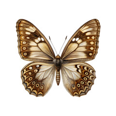 Fototapeta premium a butterfly on a transparent background