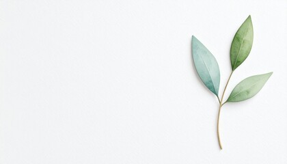 Refreshing green leaves minimalist white background nature photography calm environment close-up view botanical concept