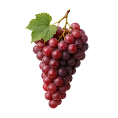 Fototapeta premium bunch of red grapes isolated on transparent or white background png 
