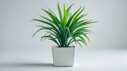 Isolated plastic plants in pots designed for interior decoration with a white background