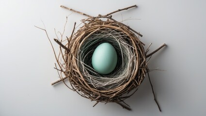 Nest with egg against a white backdrop
