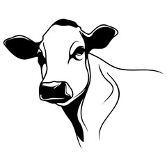 Cow Half Body Side View In style of Realistic Outline Vector Illustration For Farm Animal Design, Minimal Line Art, Clean Drawing, No Background