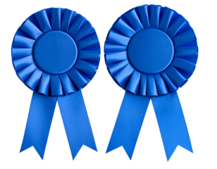 Two blue rosettes with ribbons on a transparent background PNG