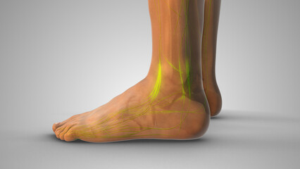 Fluid Retention Causing Pitting Edema