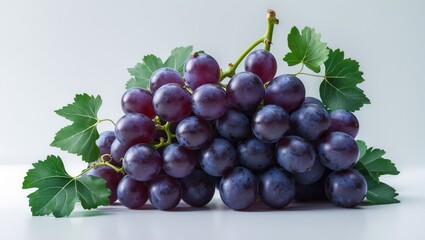 Obraz premium Bunch of fresh blue grapes featuring leaves against a plain background.