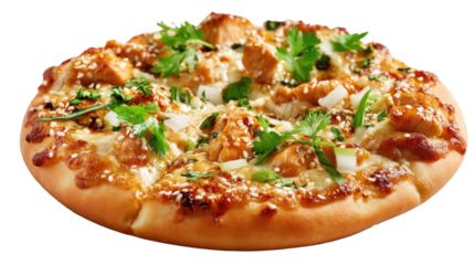 Savory Chicken Pizza Delight: A tantalizing close-up shot showcases a freshly baked pizza, loaded with tender chicken, melty cheese, and a sprinkle of fresh herbs.