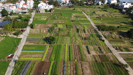 Drone View of Organic Green Farms in Hoi An Countryside
