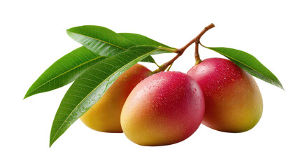 Ripe Mangoes on Branch: Three juicy mangoes, still attached to their branch with vibrant green leaves, showcase their ripe, reddish-yellow hues.