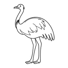 Rhea Bird Outline Silhouette – Wild Animal Vector on a transparent background
