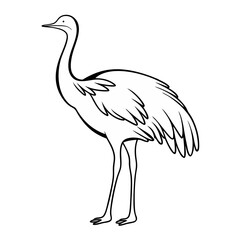 Rhea Bird Outline Silhouette – Wild Animal Vector on a transparent background
