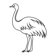 Rhea Bird Outline Silhouette – Wild Animal Vector on a transparent background
