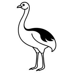 Rhea Bird Outline Silhouette – Wild Animal Vector on a transparent background
