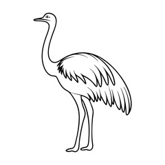 Rhea Bird Outline Silhouette – Wild Animal Vector on a transparent background
