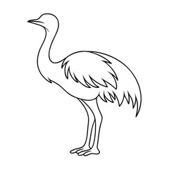 Rhea Bird Outline Silhouette – Wild Animal Vector on a transparent background

