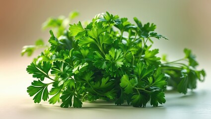 Obraz premium Isolated green parsley leaves on a background