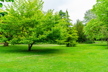 Park in Bath