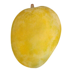 mango isolated on white background