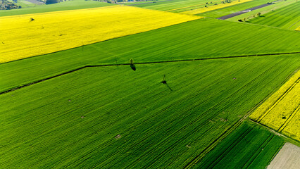 Field of crops with a person walking through it. Aerial view of landscape.