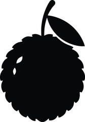 vector illustration of an orange fruit