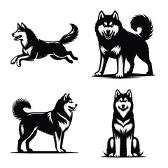 Different siberian husky dog set bundle vector illustration isolated on white background