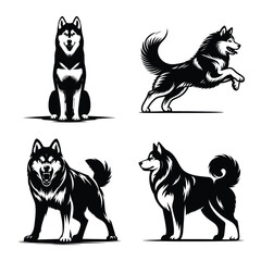Different siberian husky dog set bundle vector illustration isolated on white background © Md Hasan