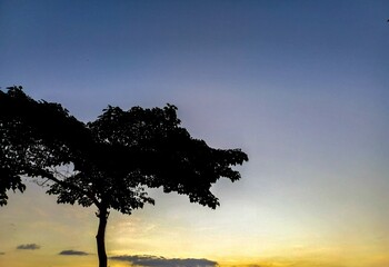 silhouette of a tree against a sunset sky