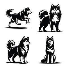 Different siberian husky dog set bundle vector illustration isolated on white background